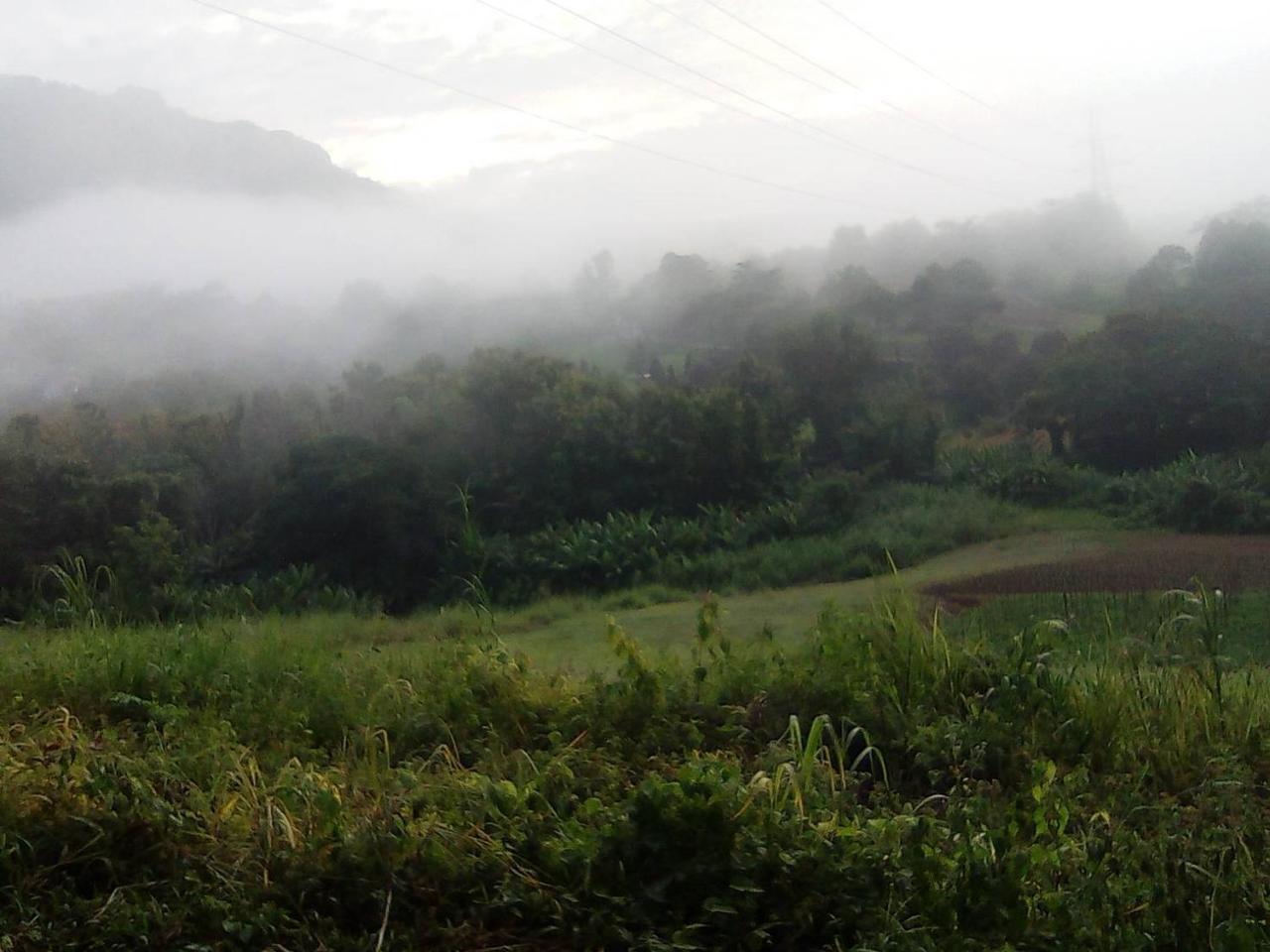 Red Z Cool Mountain Hotel Khao Kho Exterior foto